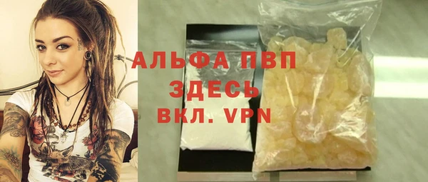 бошки Белокуриха