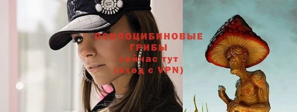 прущие грибы Белоозёрский
