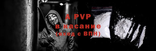 бошки Белокуриха