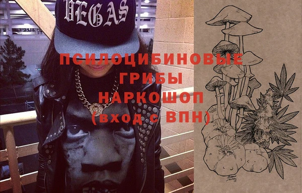 бошки Белокуриха
