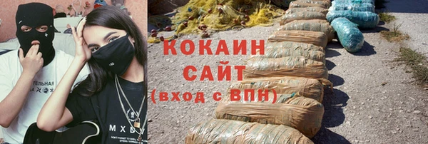 бошки Белокуриха