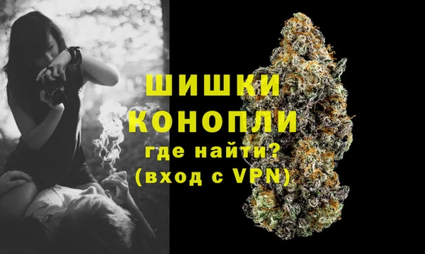 прущие грибы Белоозёрский