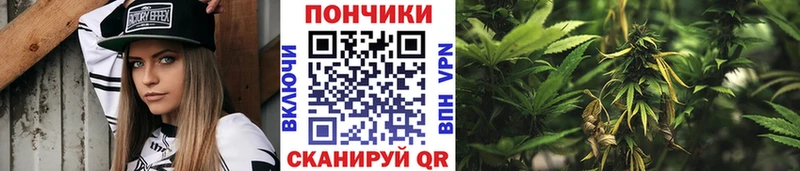 Шишки марихуана LSD WEED  где найти   Будённовск 